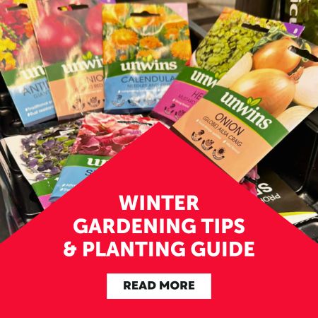 Winter Gardening Tips and planting guide
